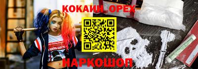 дживик Гай
