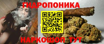 прущие крисы Гатчина
