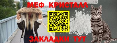 дживик Гай