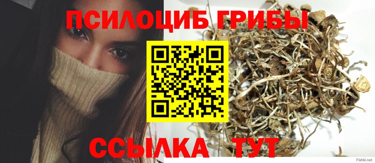Псилоцибиновые грибы мухоморы Грозный